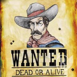 090325 wanted a